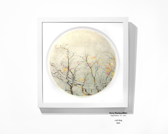 Trees Installation 13