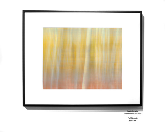 Trees Installation 14