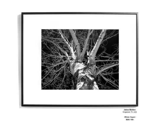 Trees Installation 15