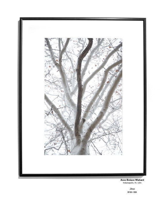 Trees Installation 16