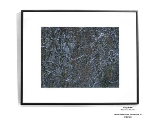 Trees Installation 18