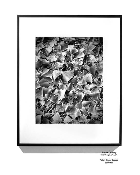 Trees Installation 19