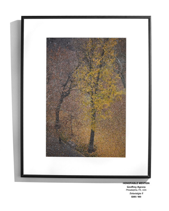 Trees Installation 21