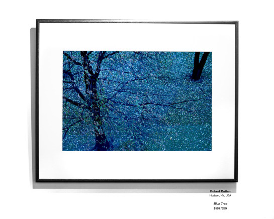 Trees Installation 22