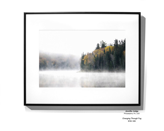 Trees Installation 23