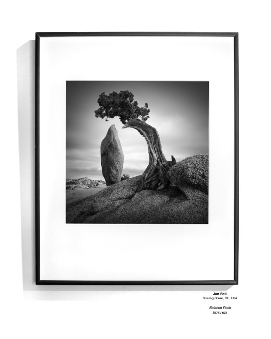 Trees Installation 25