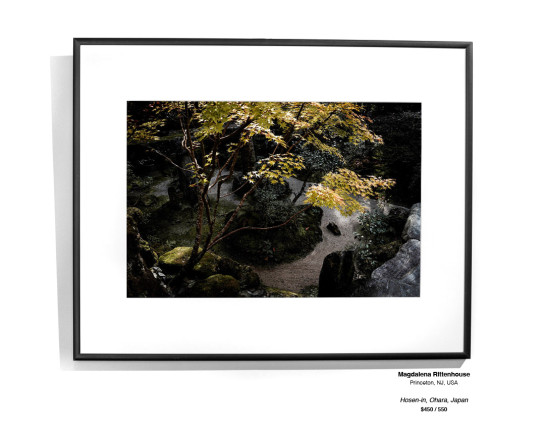 Trees Installation 26