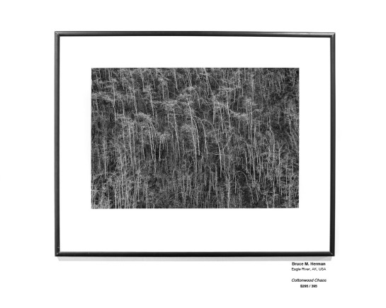 Trees Installation 29