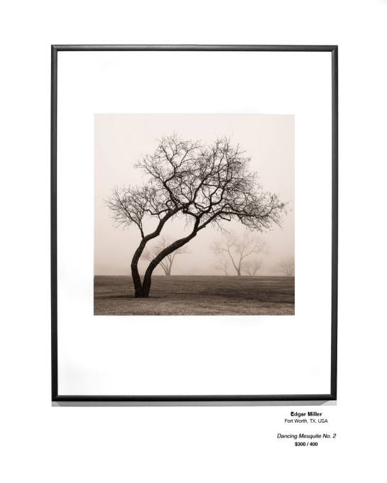 Trees Installation 30