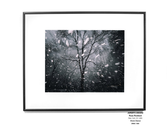 Trees Installation 31