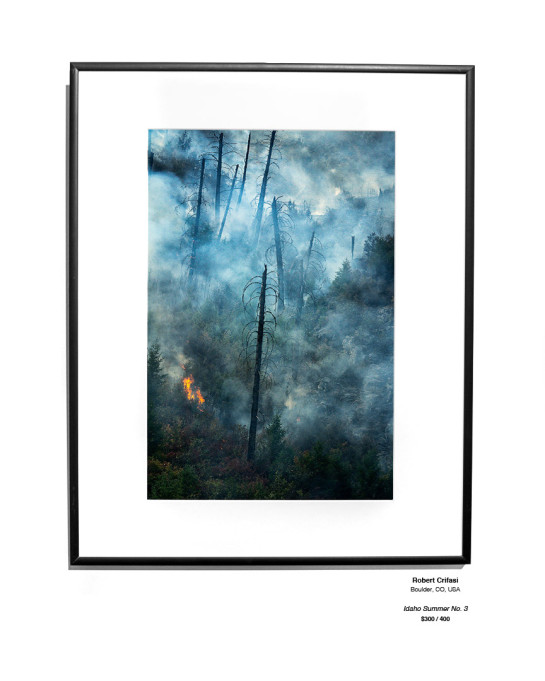 Trees Installation 34