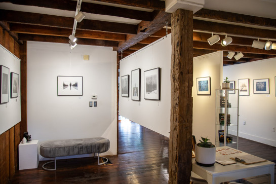 Trees Installation 39