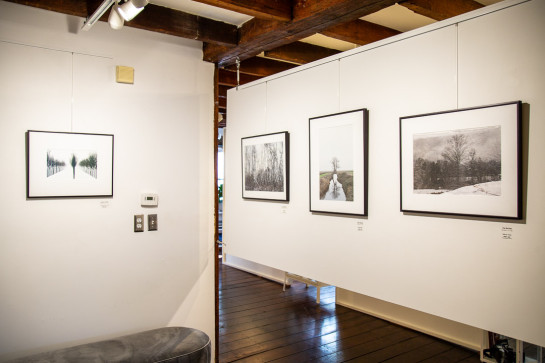 Trees Installation 41