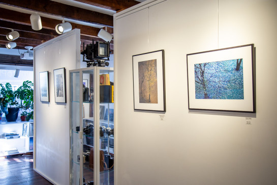 Trees Installation 44