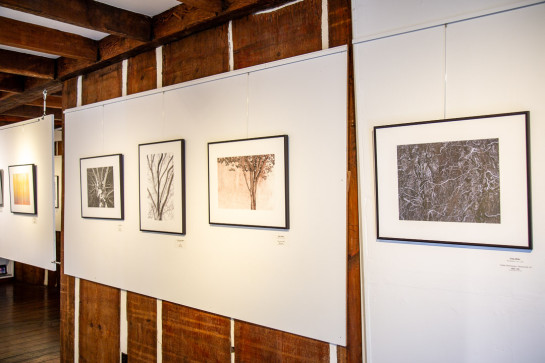 Trees Installation 45