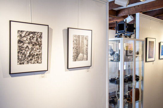 Trees Installation 46