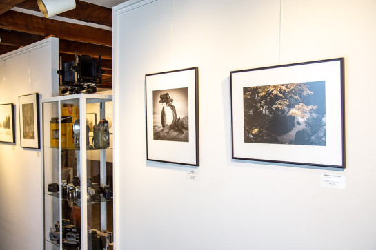 Trees Installation 47