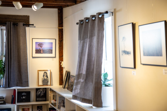 Trees Installation 51