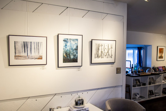 Trees Installation 52