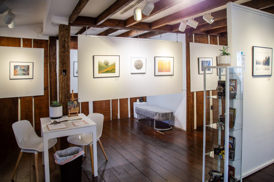 Trees Installation 53