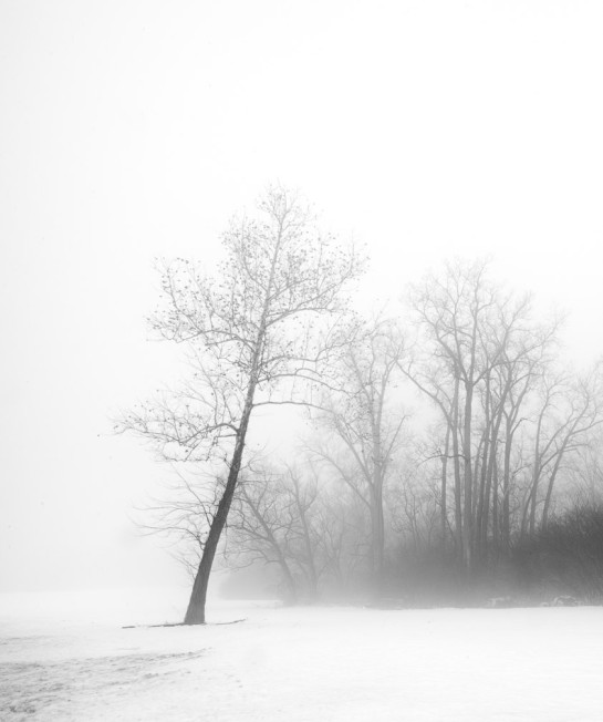 BAS19455 87647 juror