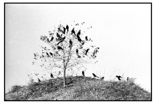 GUT56496 26393 juror