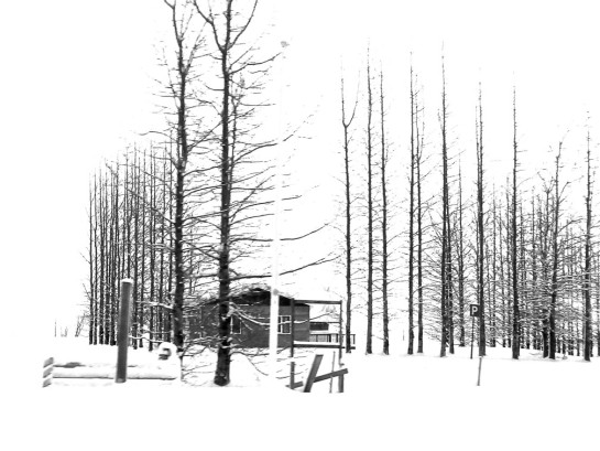 VOG53682 15703 juror