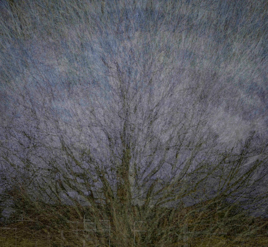 BRO98698 36347 juror