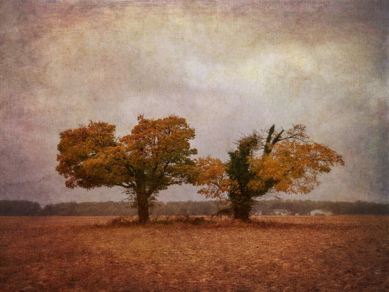 KLI99297 40119 juror