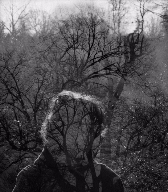 Meyering John 5 Missing and Forgotten