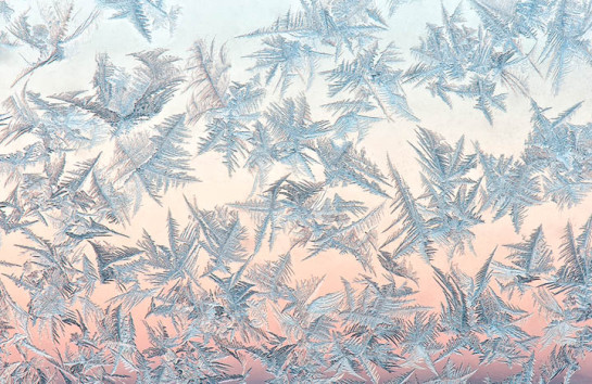 BEA84395_36864-web gallery