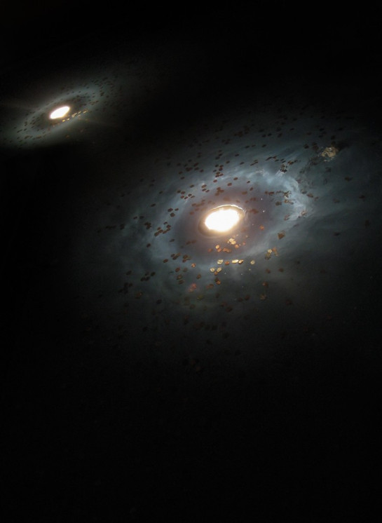 Winkworth_Nick-5Galaxies