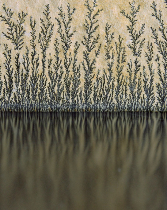 Kuchle_John_1Stone and Reflection