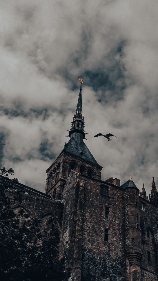 CHA75688 58896 juror