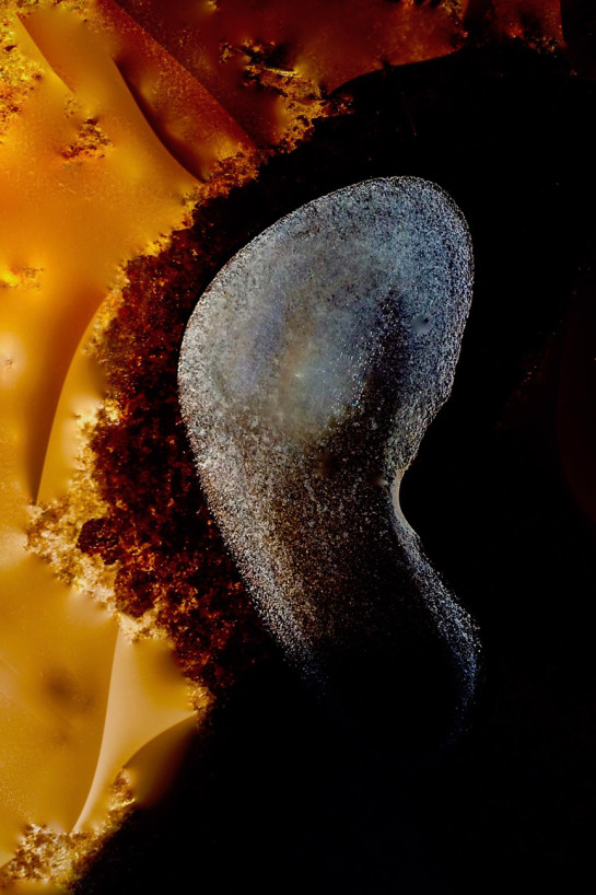 POR24789 68268 juror